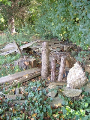 Vertically buried elm logs, old wooden <br>wheel barrow, stone beetle bank